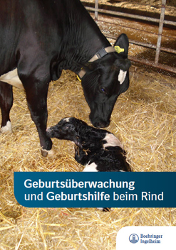 Broschüre zur Geburtshilfe bei Kühen 