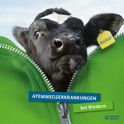 Broschüre zu Atemwegserkrankungen bei Rindern