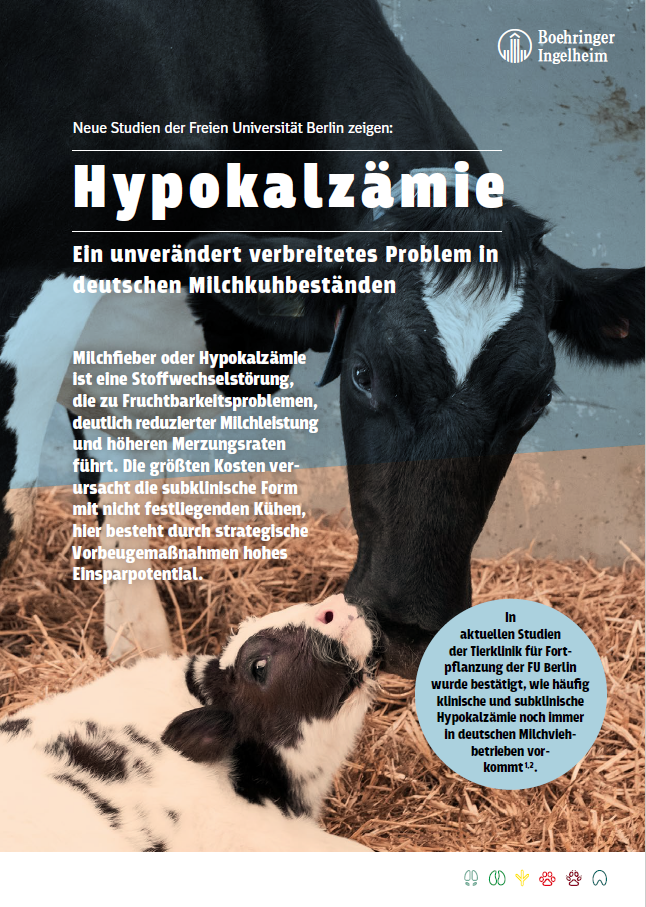 Hypokalzämie | Ein unverändert verbreitetes Problem in deutschen Michkuhbeständen.